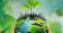 Environment
