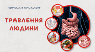 8 клас НУШ. Травлення людини 
