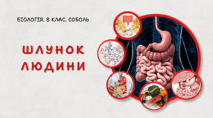 Шлунок людини. 8 клас НУШ