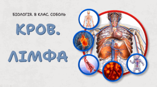 8 клас НУШ. Кров. Лімфа. 