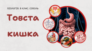 8 клас НУШ. Товста кишка 
