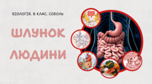  8 клас НУШ.  Шлунок людини 