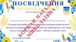 Посвідчення другокласника в патріотичному стилі+ МЕДАЛЬКИ