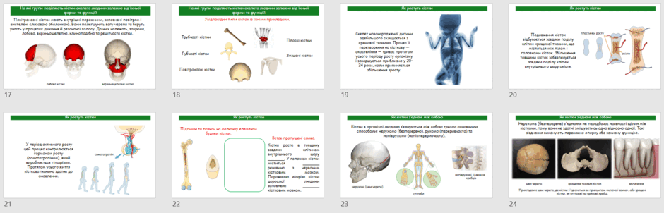 080176xz-25a6-940x302.png