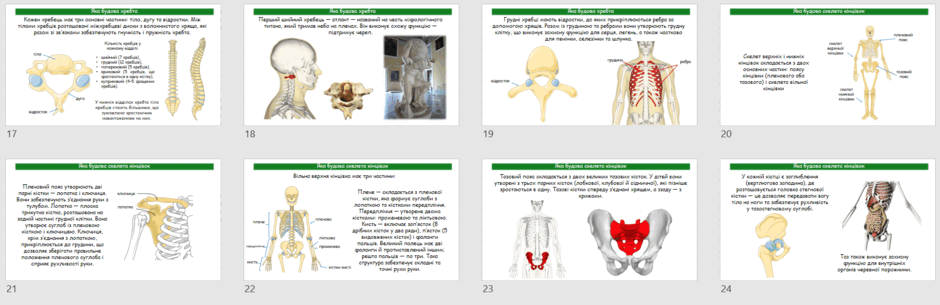 080177hx-d377-940x305.png