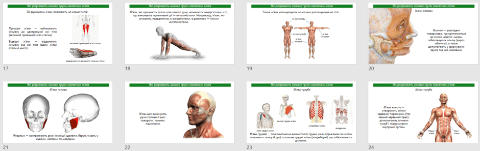 0801785g-1a71-940x297.png