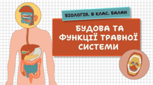 Будова та функції травної системи. 8 клас НУШ