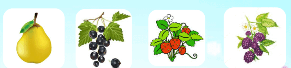 08017af9-71bc-940x222.png