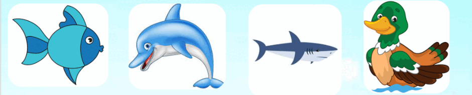 08017afb-209b-940x190.png