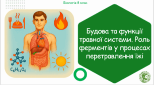 Презентація, конспект уроку та робочі аркуші на тему "Будова та функції травної системи. Роль ферментів у процесах перетравлення їжі". 8 клас НУШ