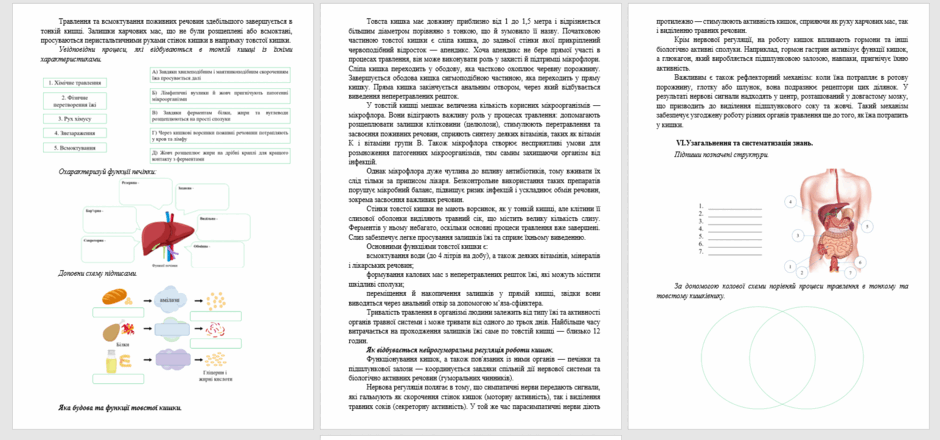 08017d95-d672-940x440.png