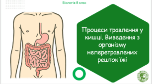 Презентація, конспект уроку та робочі аркуші на тему "Процеси травлення у кишці. Виведення з організму неперетравлених решток їжі". 8 клас НУШ