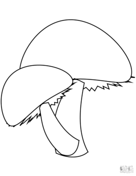 08017f0b-8e41-272x352.png
