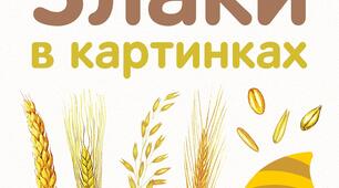 Демонстраційний матеріал