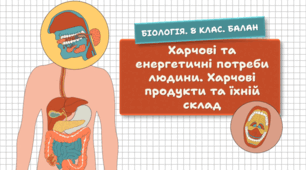Харчові та енергетичні потреби людини. Харчові продукти та їхній склад. 8 клас НУШ