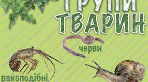 Плакат-склейка "Групи тварин"