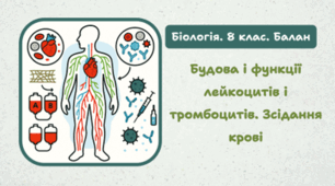 8 клас НУШ. Будова і функції лейкоцитів і тромбоцитів. Зсідання крові