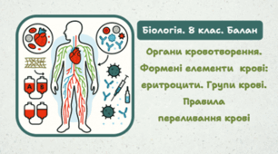 8 клас НУШ. Органи кровотворення. Формені елементи  крові: еритроцити. Групи крові. Правила переливання крові