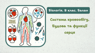 8 клас НУШ. Система кровообігу. Будова та функції серця