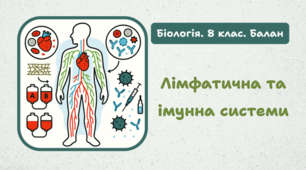8 клас НУШ. Лімфатична та імунна системи