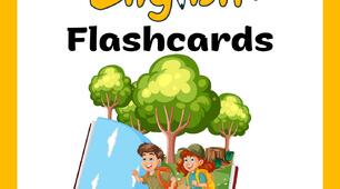 Flashcards Smart Junior 2 Module 1-4