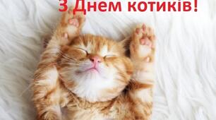 Міжнародний день кота 