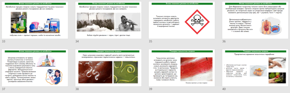 08017hev-5409-940x302.png