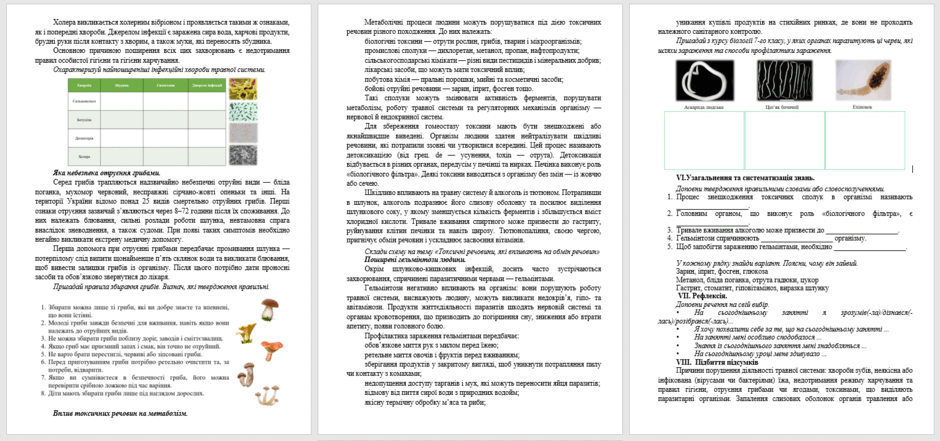 08017hez-ca9b-940x441.png