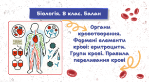 Органи кровотворення. Формені елементи крові: еритроцити. Групи крові. Правила переливання крові. 8 клас НУШ