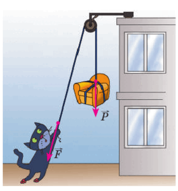 08017jms-b1d3-366x393.png