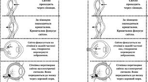 Око людини Поробка