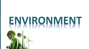 НМТ Environment Vocabulary