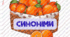 Синоніми-антоніми