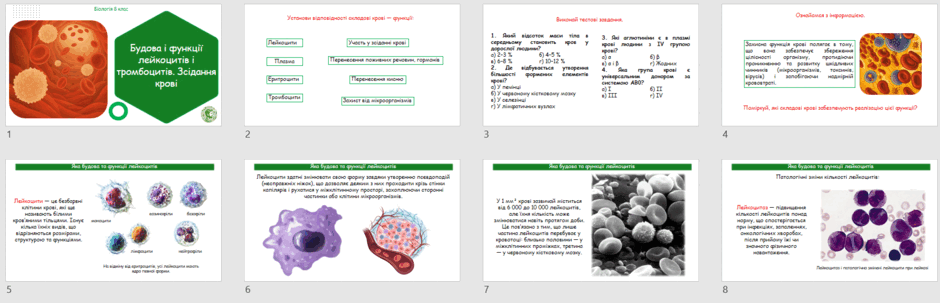 08017pqr-760d-940x303.png