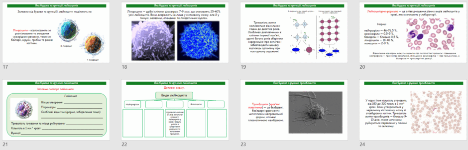 08017pqw-8a8f-940x301.png