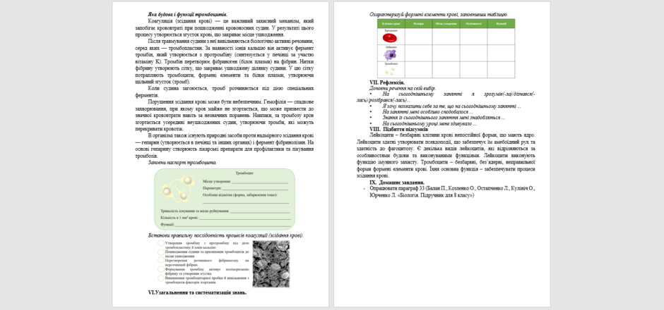 08017pr6-392a-940x440.png