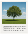 08017qg9-cecb-100x120.png