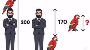 Знайдіть зріст папуги. 🦜