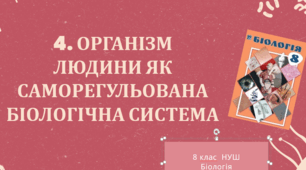 Презентація  до уроку  «§4. Організм людини як саморегульована біологічна система»  8клас НУШ
