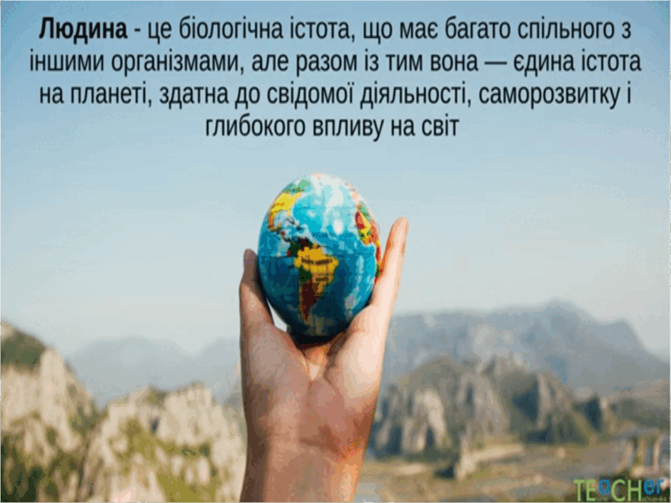 08017qz3-4214-940x705.png