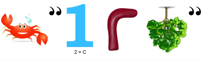 08017r0d-026d-684x204.png