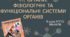 Презентація  до уроку  «§6. Органи. Фізіологічні та функціональні системи органів» 8клас НУШ