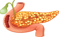 08017s90-3b3f-203x128.png