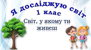 1 клас "Світ, у якому ти живеш" за підручником Ірини Жаркової, Лариси Мечник, Лілії Роговської