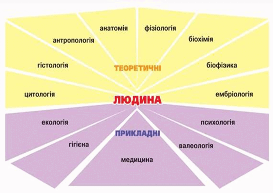 08017td6-5923-940x667.png