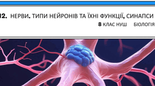 Презентація  до уроку  «§12. Нерви. Типи нейронів та їхні функції, синапси»  8клас НУШ