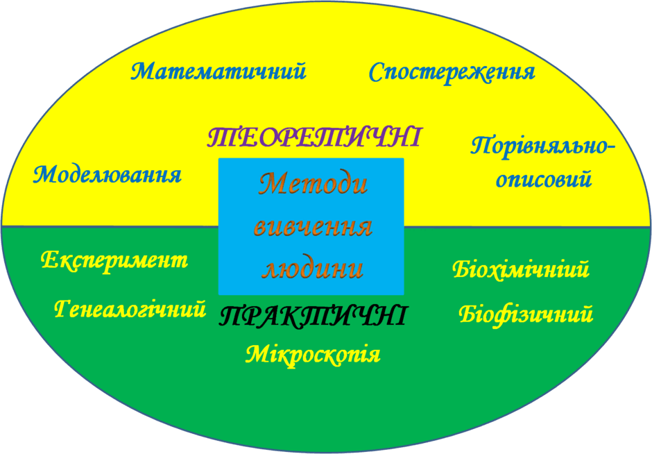 08017tt3-3ab0-940x654.png