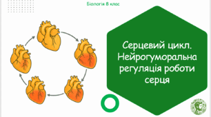 Презентація, конспект уроку та робочі аркуші на тему "Серцевий цикл. Нейрогуморальна регуляція роботи серця". 8 клас НУШ