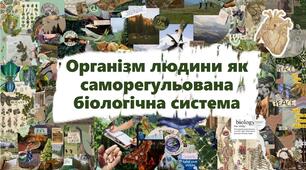 Організм людини як саморегульована біологічна система