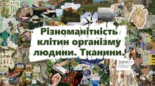 Різноманітність клітин організму людини. Тканини.